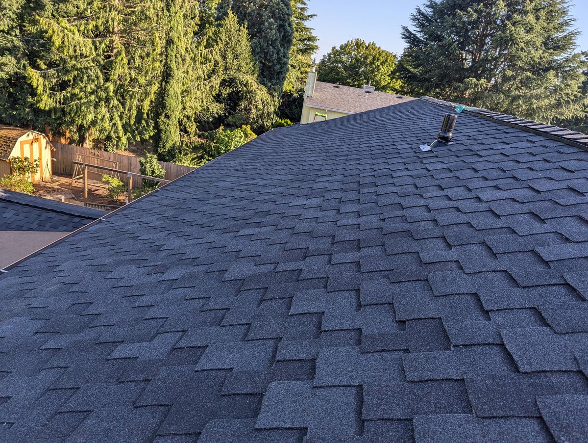 Professional Roof Repair